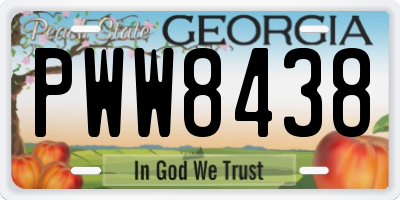 GA license plate PWW8438