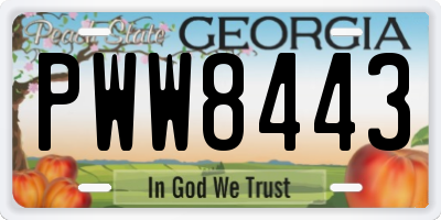 GA license plate PWW8443