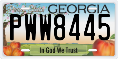 GA license plate PWW8445
