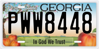 GA license plate PWW8448