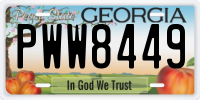 GA license plate PWW8449