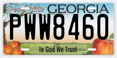 GA license plate PWW8460