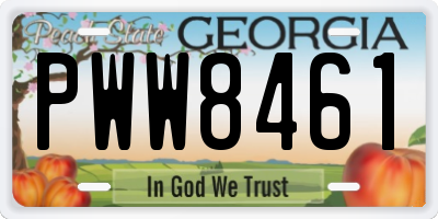 GA license plate PWW8461