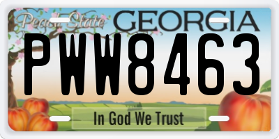 GA license plate PWW8463