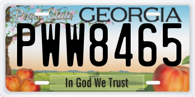 GA license plate PWW8465