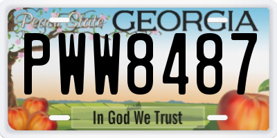 GA license plate PWW8487