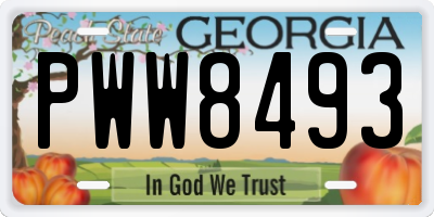 GA license plate PWW8493
