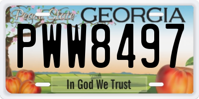 GA license plate PWW8497