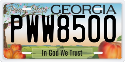 GA license plate PWW8500