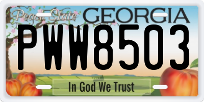 GA license plate PWW8503