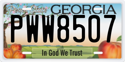 GA license plate PWW8507