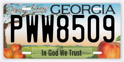 GA license plate PWW8509