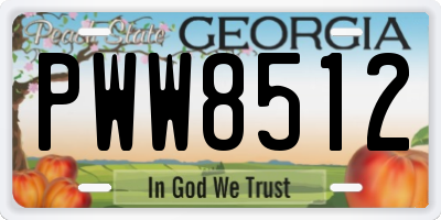 GA license plate PWW8512