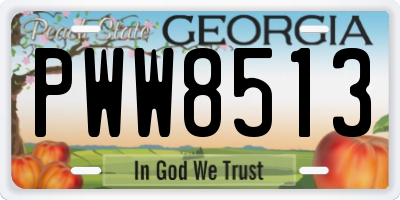 GA license plate PWW8513