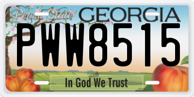 GA license plate PWW8515