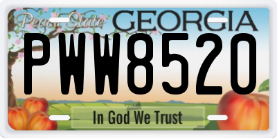 GA license plate PWW8520