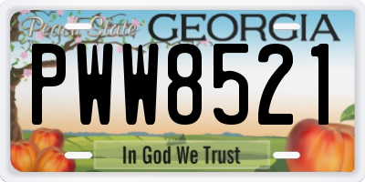 GA license plate PWW8521
