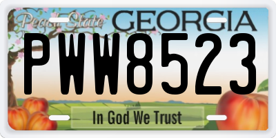 GA license plate PWW8523