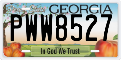 GA license plate PWW8527