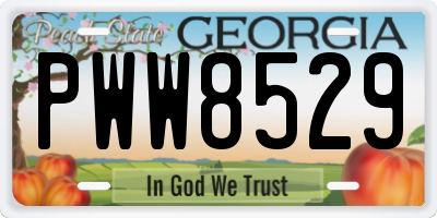 GA license plate PWW8529