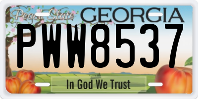 GA license plate PWW8537
