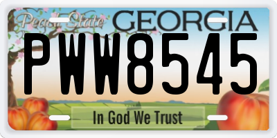 GA license plate PWW8545