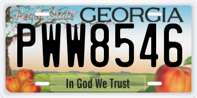 GA license plate PWW8546