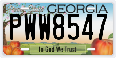 GA license plate PWW8547