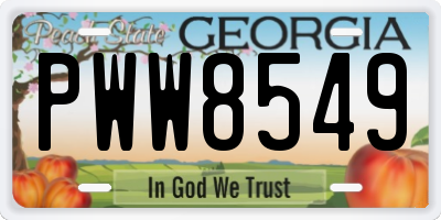 GA license plate PWW8549