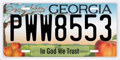 GA license plate PWW8553
