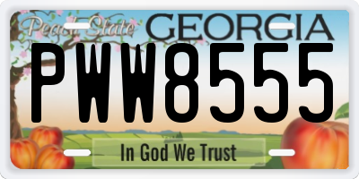 GA license plate PWW8555