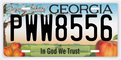 GA license plate PWW8556