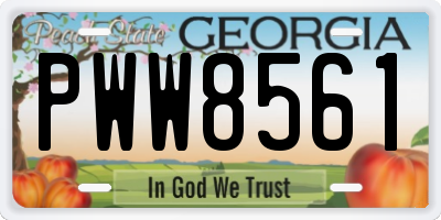GA license plate PWW8561