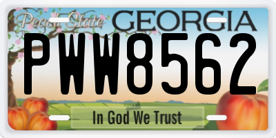 GA license plate PWW8562