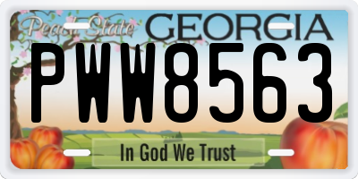 GA license plate PWW8563