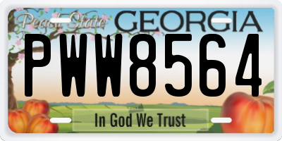 GA license plate PWW8564