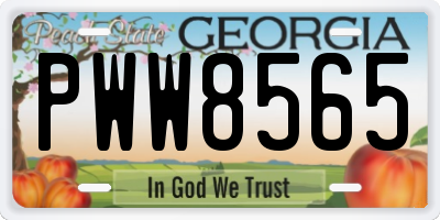 GA license plate PWW8565
