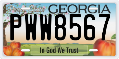 GA license plate PWW8567