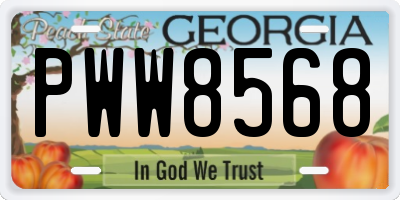 GA license plate PWW8568