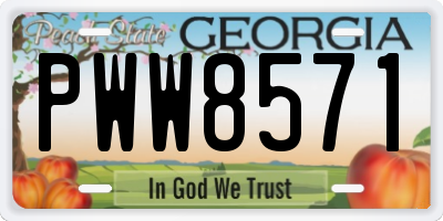 GA license plate PWW8571