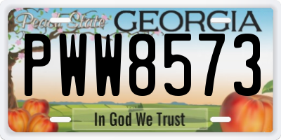 GA license plate PWW8573