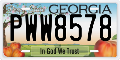 GA license plate PWW8578