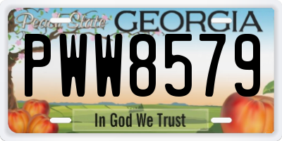 GA license plate PWW8579