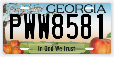 GA license plate PWW8581