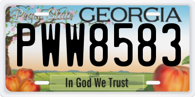 GA license plate PWW8583