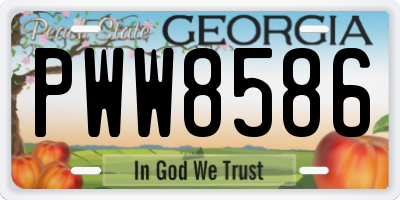 GA license plate PWW8586