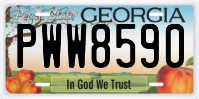 GA license plate PWW8590