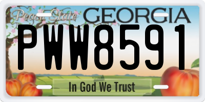 GA license plate PWW8591