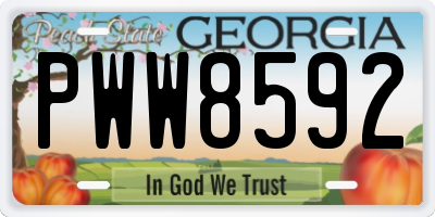 GA license plate PWW8592