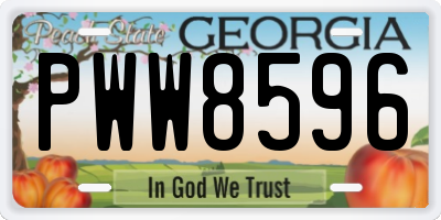 GA license plate PWW8596
